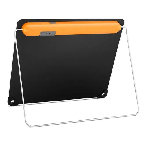 Biolite Solar Panel