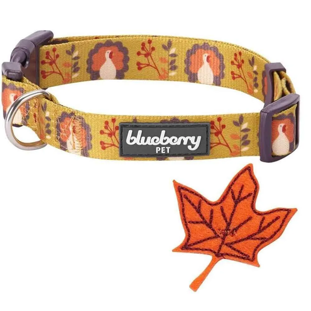 Blueberry Pet Fall Festival Moonlit Turkey Collar