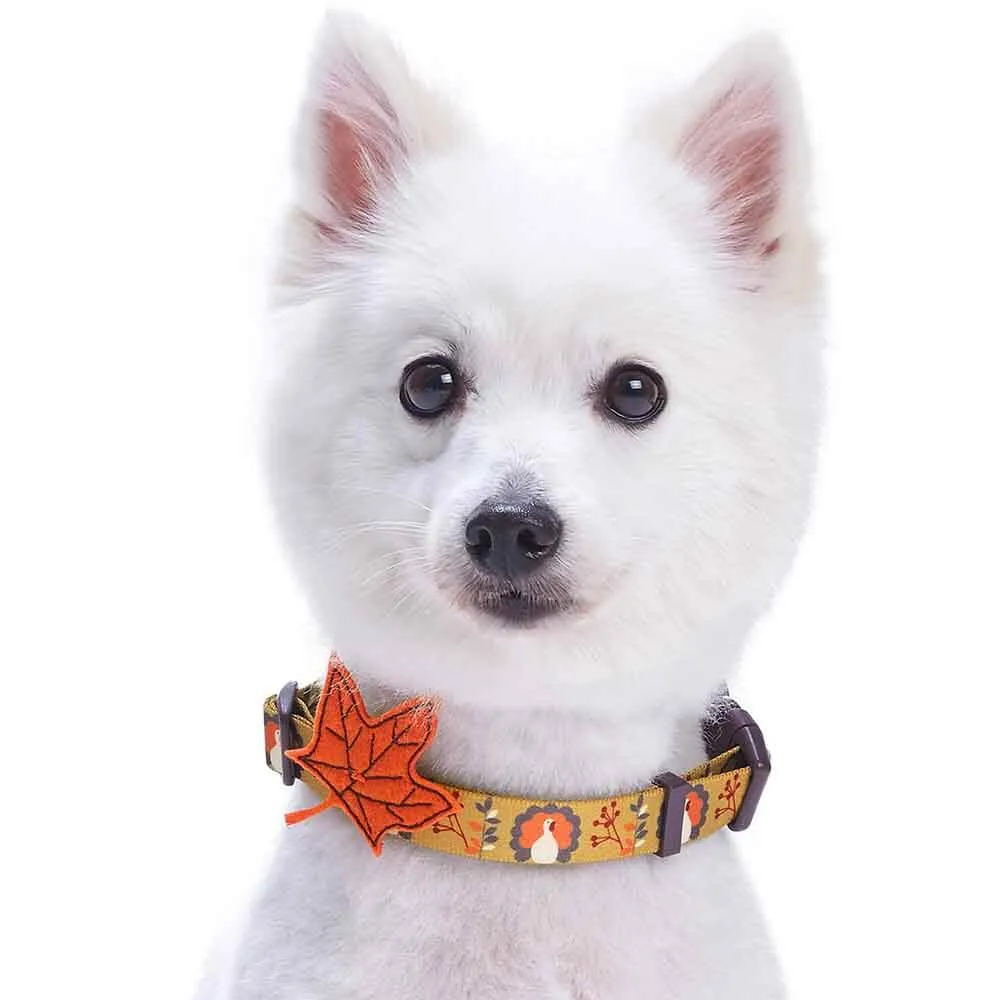 Blueberry Pet Fall Festival Moonlit Turkey Collar