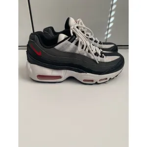 Boys Nike Airmax Sneakers