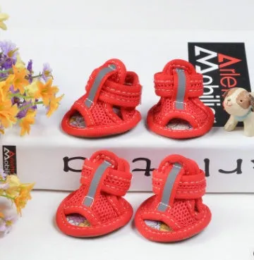 Bright and Breezy: Perfect Shoes for Furry Paws!