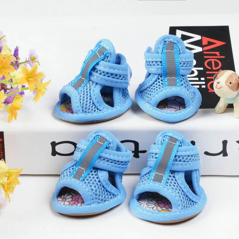 Bright and Breezy: Perfect Shoes for Furry Paws!