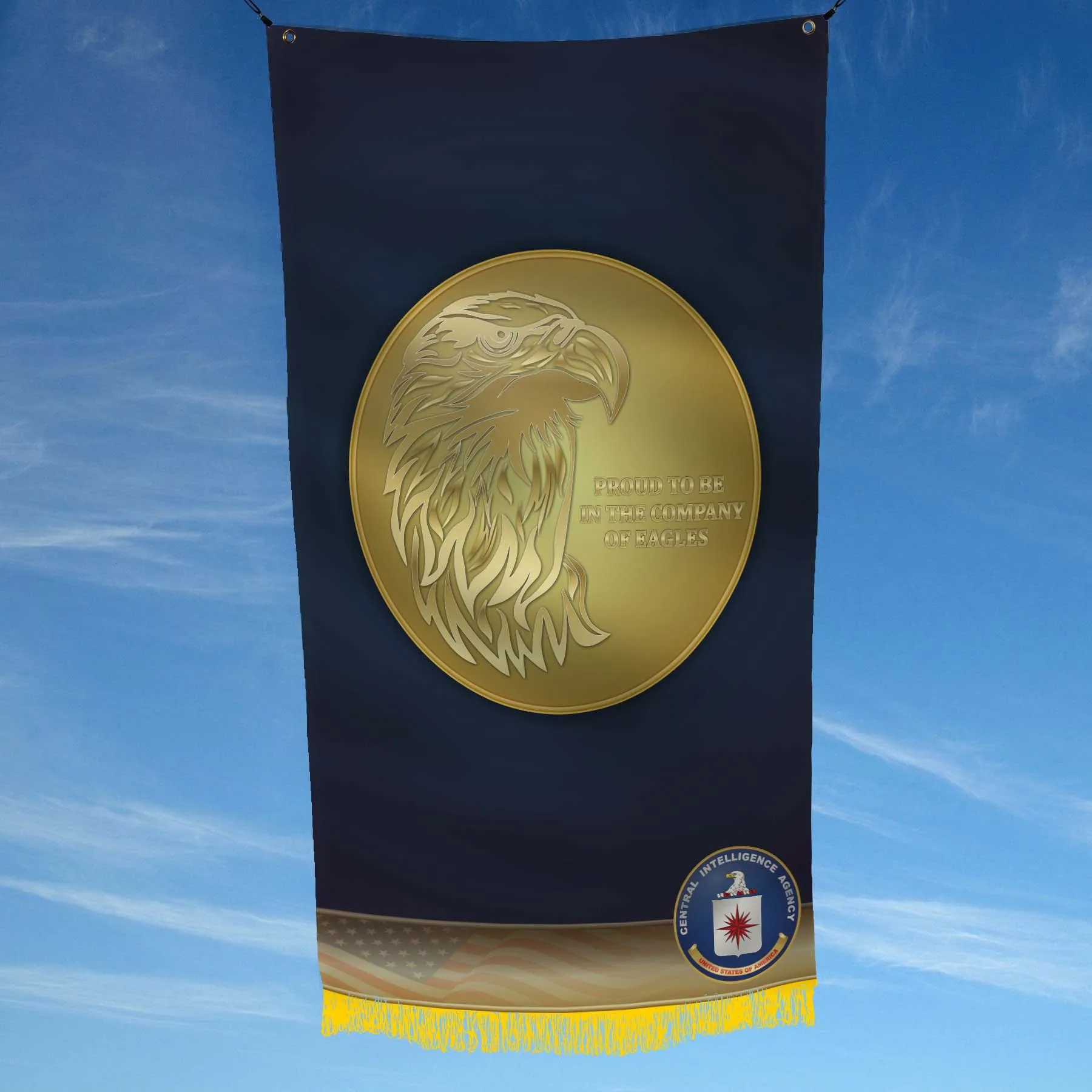CIA Camp Peary OSS Spear 16 Point Star Flag Banner