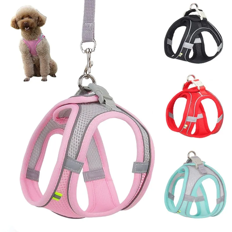 Harness Leash Set for Small Dogs